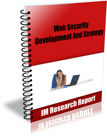 Web Security Development And Strategy